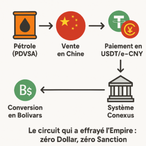 Opération Résolution Absolue : L’Autopsie d’une Guerre Hybride pour le Pétrodollar et la Souveraineté Financière