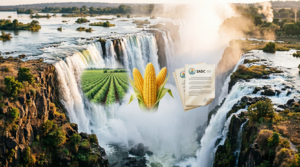 Zimbabwe : Carrefour de la Sécurité Alimentaire et de l’Harmonisation Juridique de la SADC